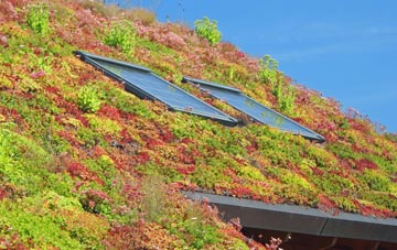 Blackrod living roof systems